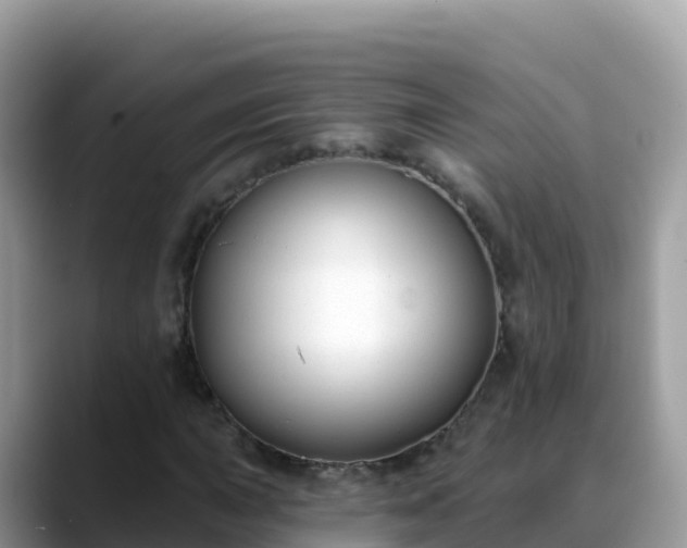 X0000088711015200706071555