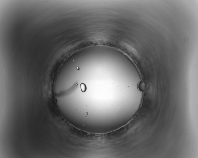 X0000088711016200706071555