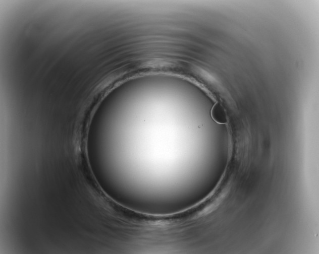 X0000088711017200706071555