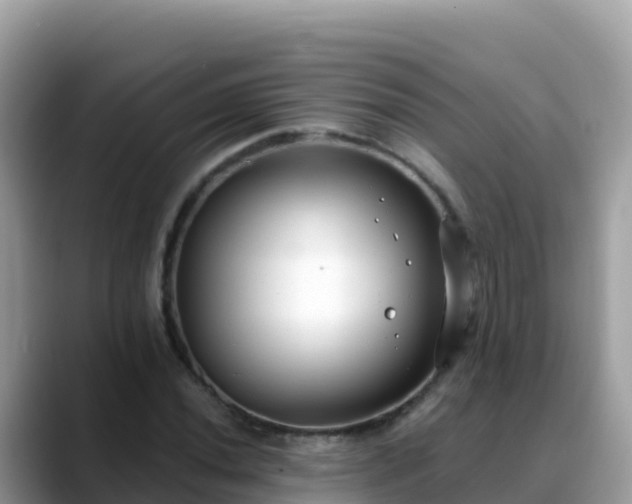 X0000088711020200706071555