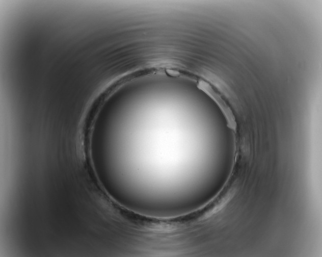 X0000088711022200706071555