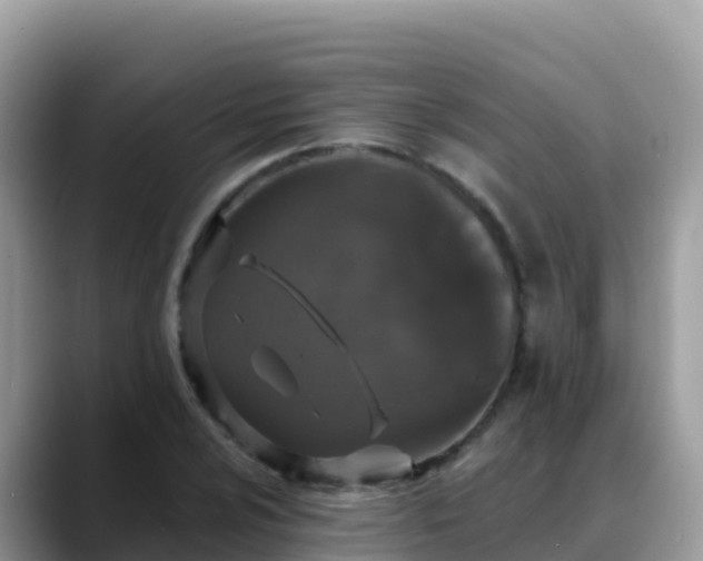 X0000088711024200706071555