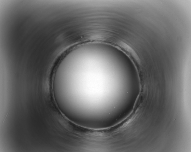 X0000088711027200706071555