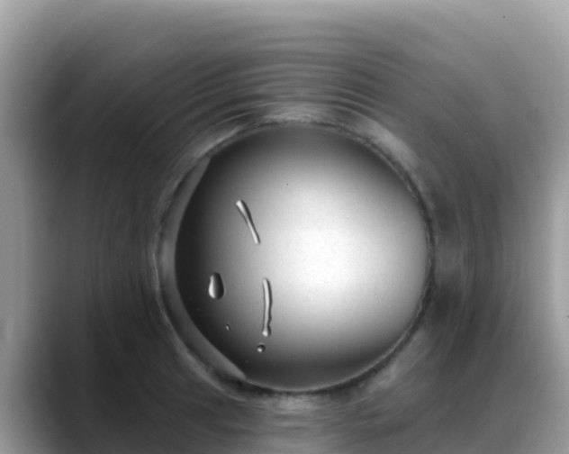 X0000088711041200706071556