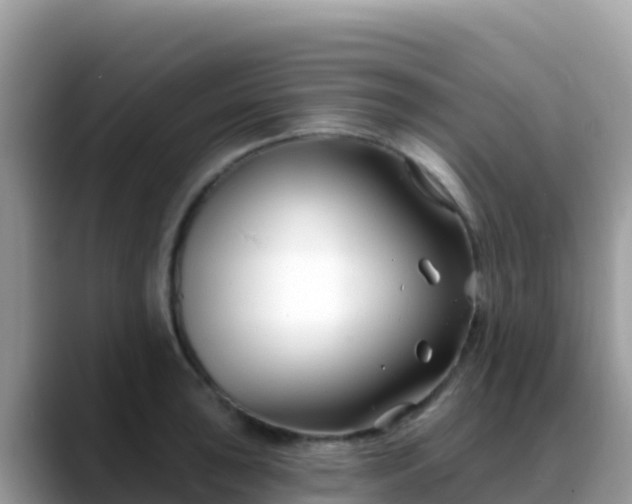X0000088711043200706071556
