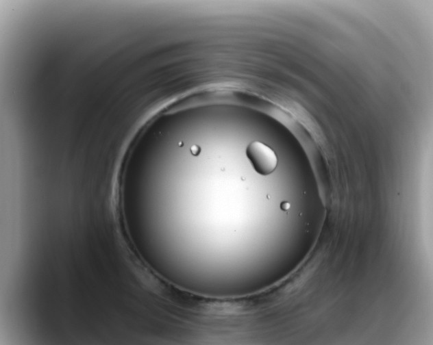 X0000088711044200706071556