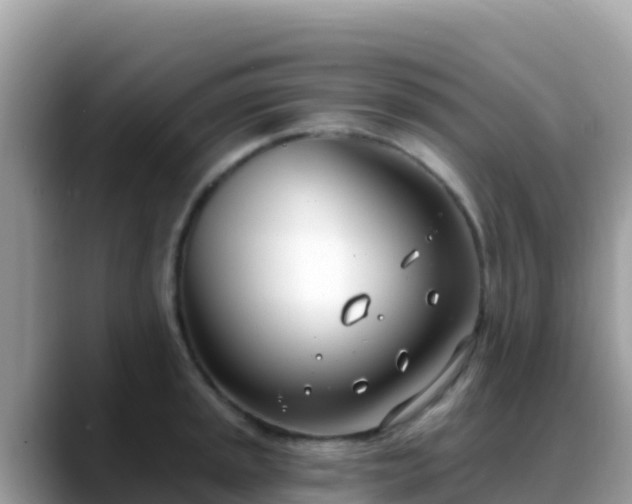 X0000088711045200706071556