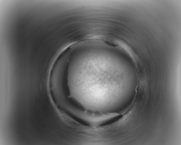 X0000088711050200706071556