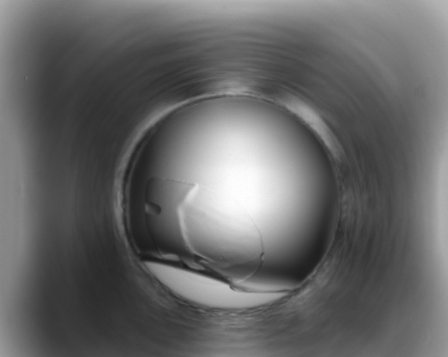 X0000088711051200706071556