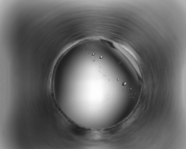 X0000088711052200706071556