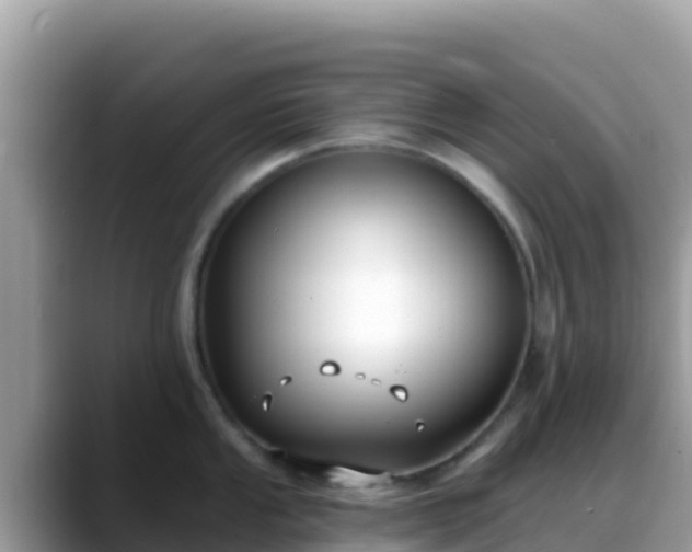 X0000088711053200706071556