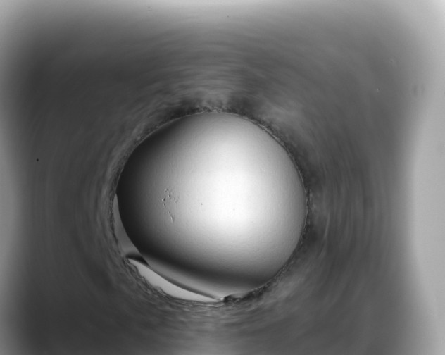 X0000088711057200706071555