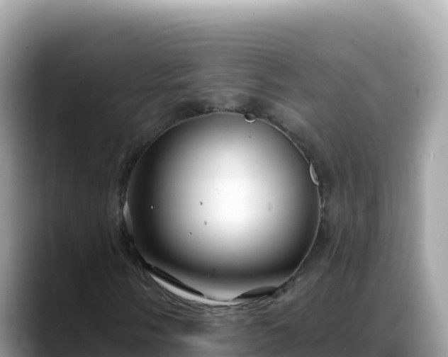 X0000088711058200706071555