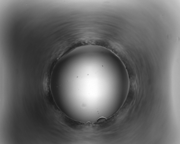 X0000088711060200706071555