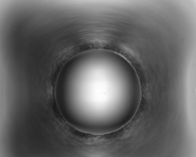 X0000088711061200706071555