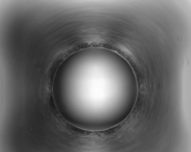X0000088711063200706071555