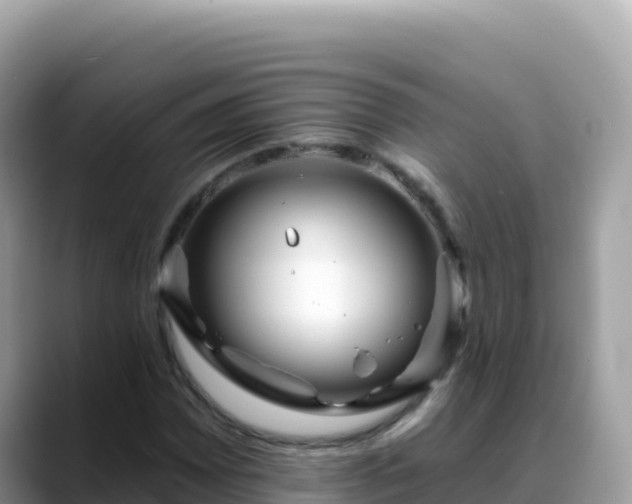 X0000088711065200706071555