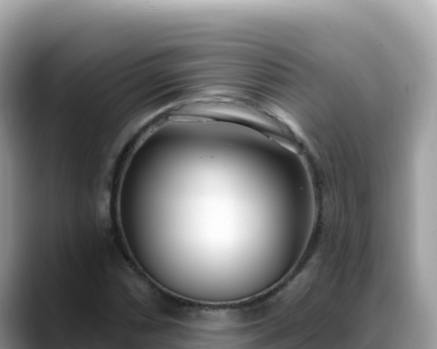 X0000088711066200706071555