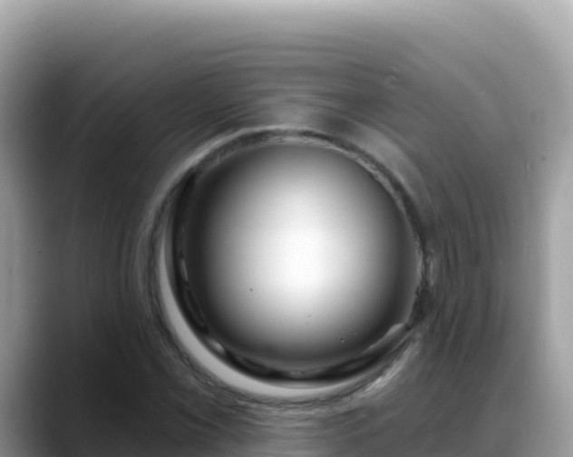 X0000088711069200706071555