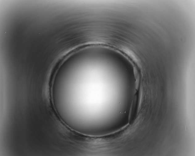 X0000088711072200706071555