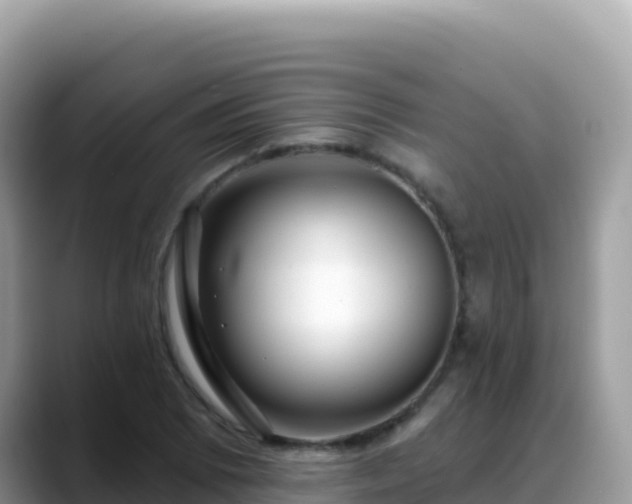 X0000088711073200706071555