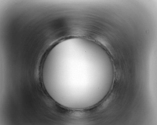 X0000088711074200706071555