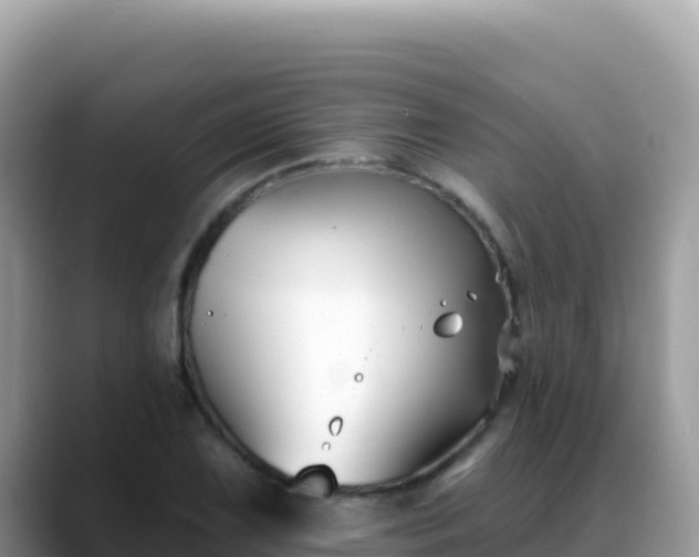 X0000088711075200706071555