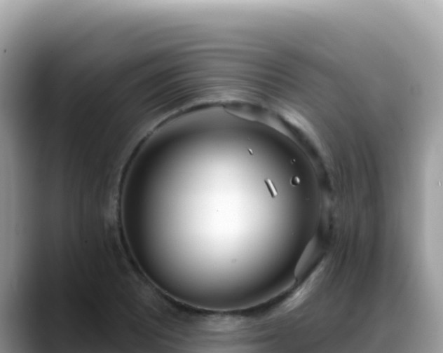 X0000088711081200706071555