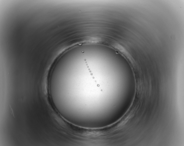 X0000088711083200706071555