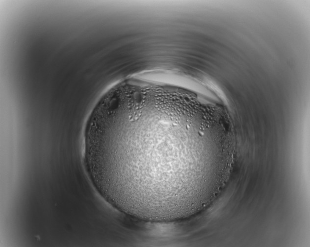 X0000088711095200706071555