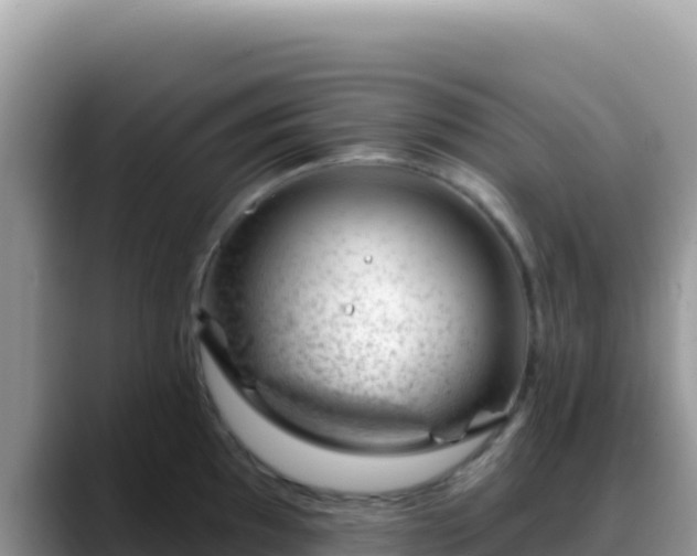 X0000088711097200706071555
