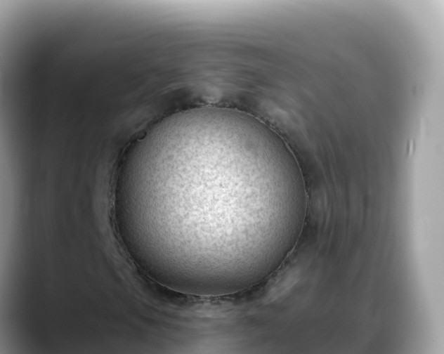 X0000088711105200706071554