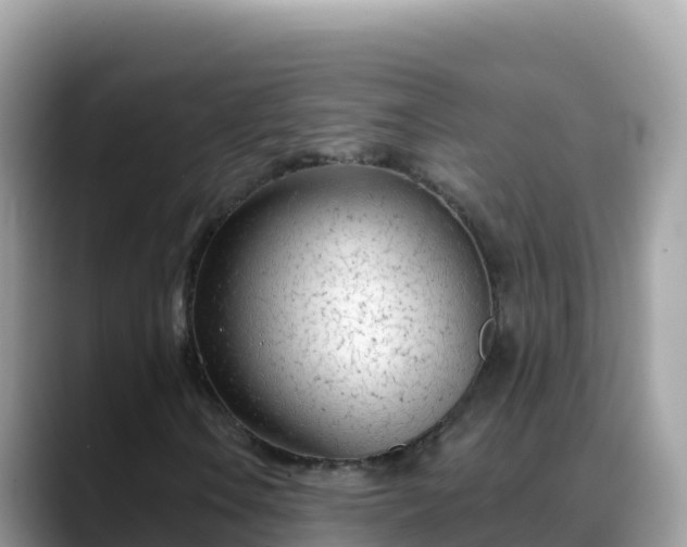 X0000088711106200706071554