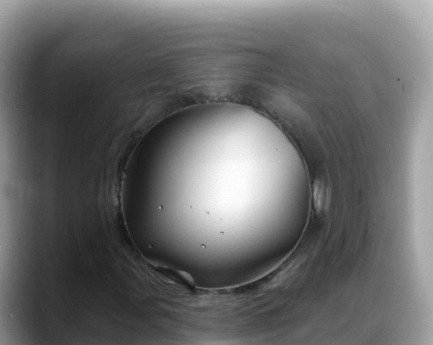 X0000088711107200706071554