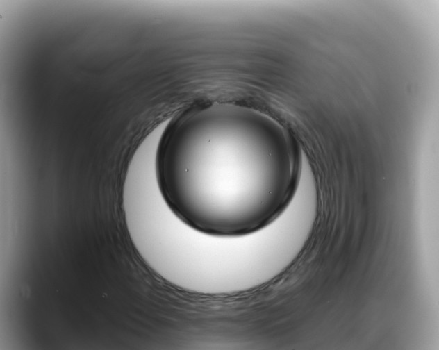 X0000088711108200706071554