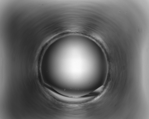 X0000088711114200706071554