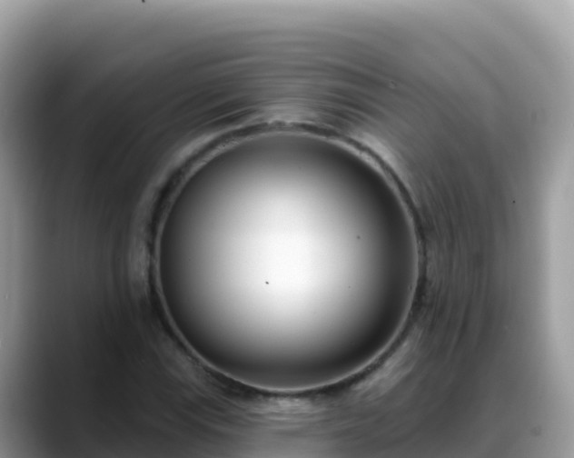 X0000088711115200706071554