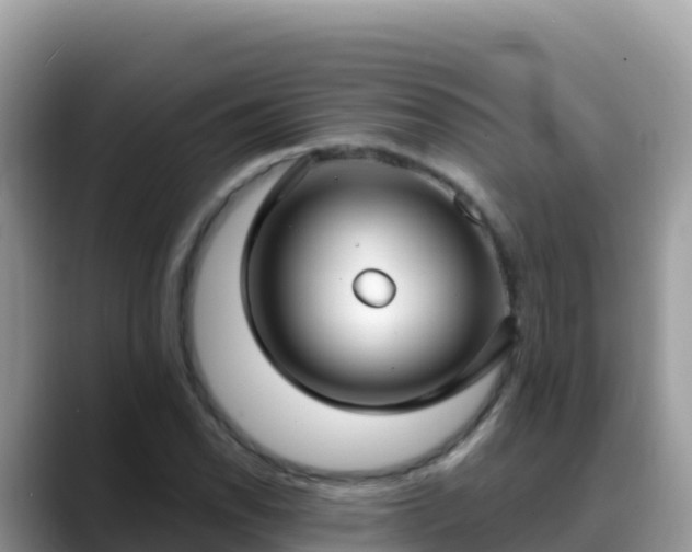 X0000088711118200706071554