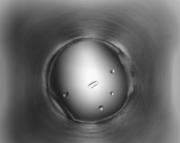 X0000088711120200706071554
