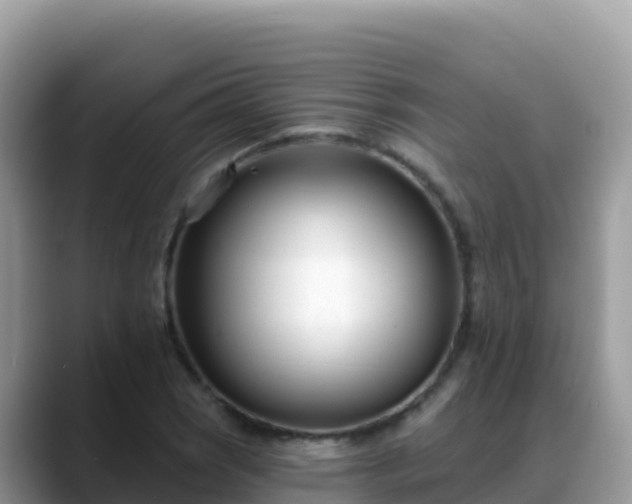 X0000088711121200706071554