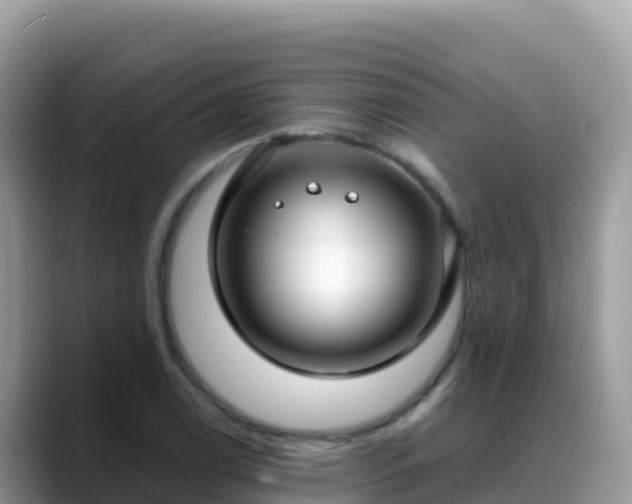 X0000088711122200706071554