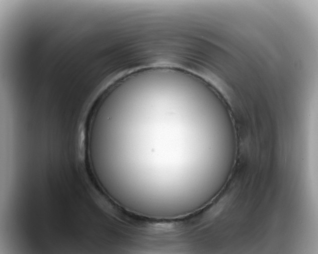 X0000088711126200706071554