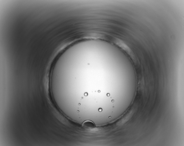 X0000088711130200706071554