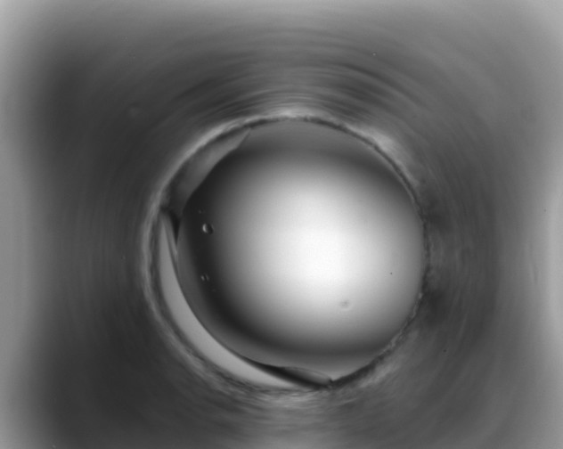 X0000088711134200706071554