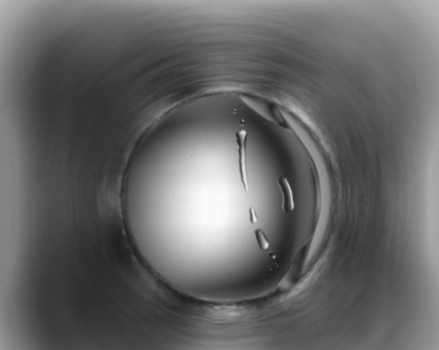 X0000088711137200706071554