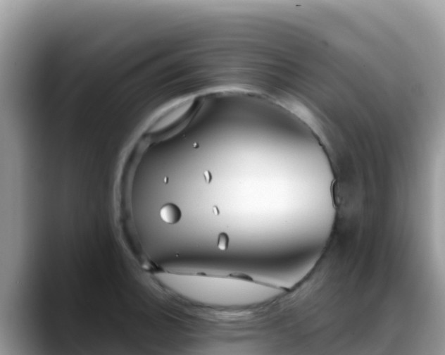 X0000088711140200706071554