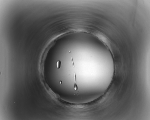 X0000088711141200706071554