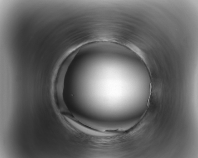 X0000088711144200706071554