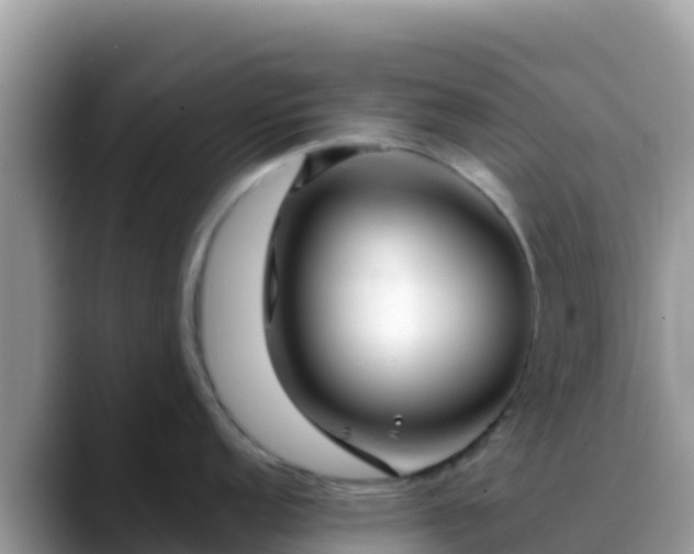 X0000088711152200706071555