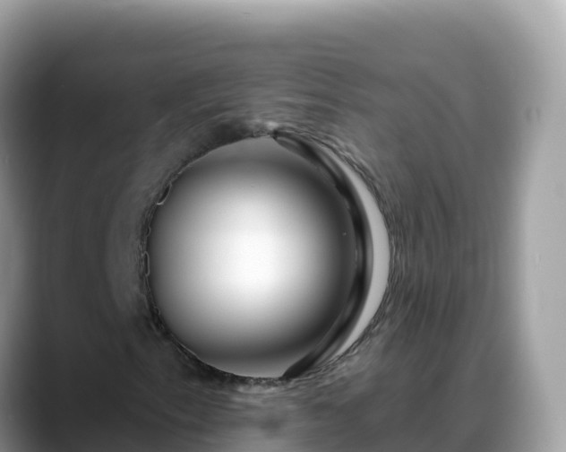 X0000088711153200706071554